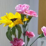 20180518_091152