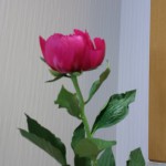 20180524_082847