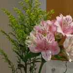 20180601_083859
