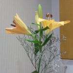 20180622_082952