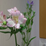 20180627_083429