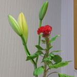 20180712_081731