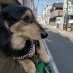 20190322_232146