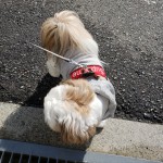 20190327_234727