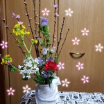 IMG_20190303_194432_588