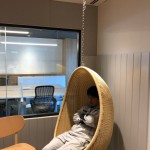line_125712041962348