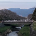 line_416423769873730