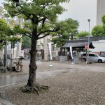 20190502_235643