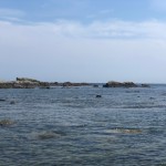line_164857552862680